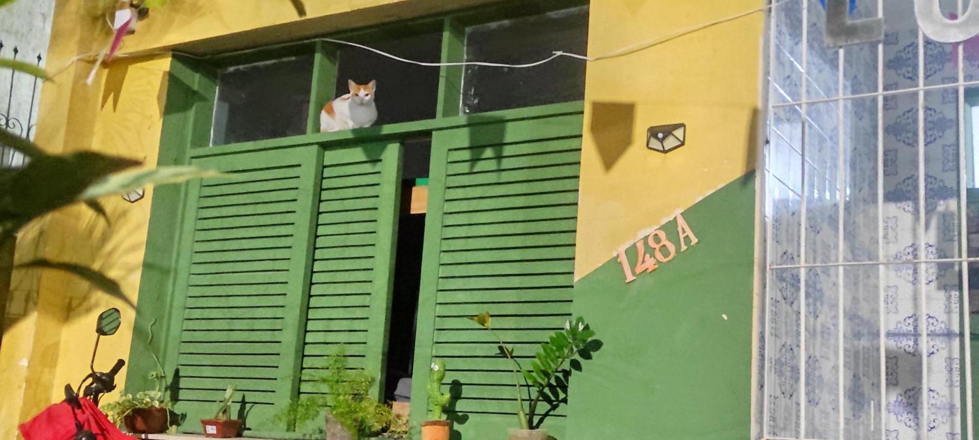Lord Hostel Salvador Barra Exterior foto